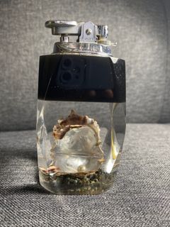 (Category: ) located in . Submitted by abbie0804 (Listing ID 1230045210, Image 1). Description: .