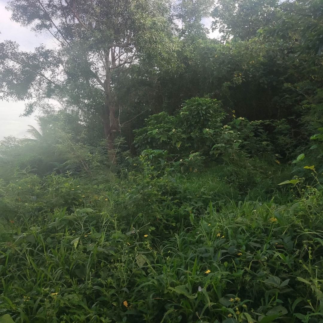 251sqm Residential Lot for sale in Legazpi, Albay, Property, For Sale