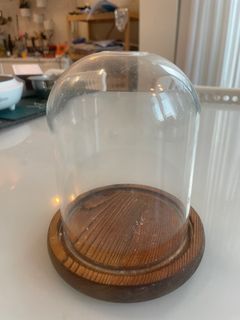 （分類：）位於 。 由 icarepetshop 提交（商品編號 1230330998，圖片 1）。簡介： 。