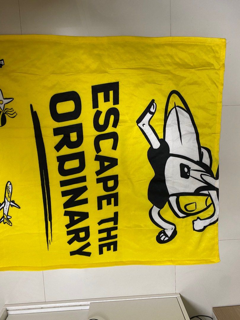 Airline Blanket Scoot, Hobbies & Toys, Memorabilia & Collectibles