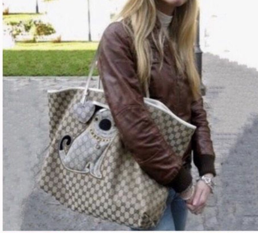 Authentic neverfull gucci shoulder bag extra large Luxury Bags Wallets on Carousell
