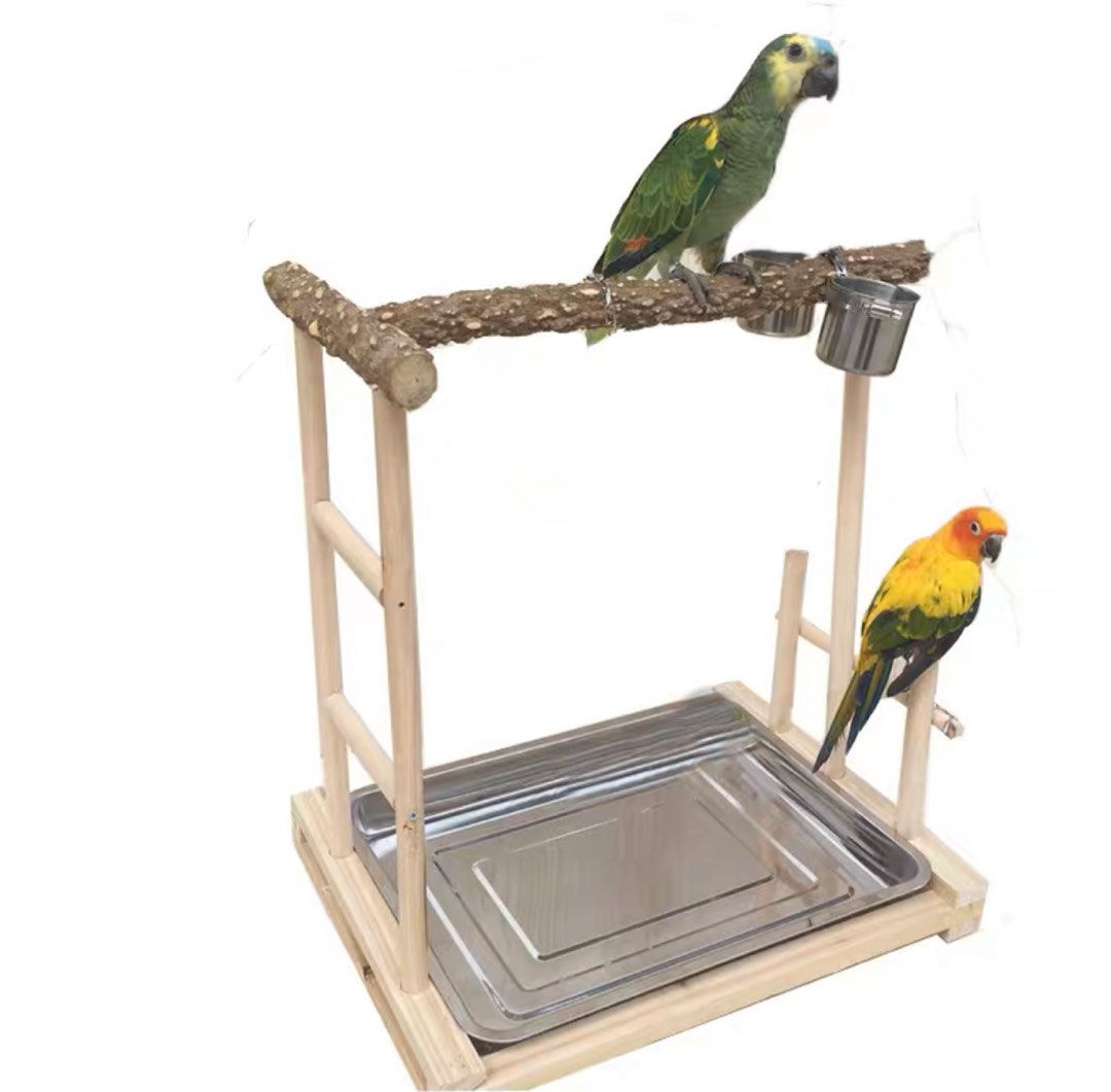 Bird stand, Pet Supplies, Homes & Other Pet Accessories on Carousell