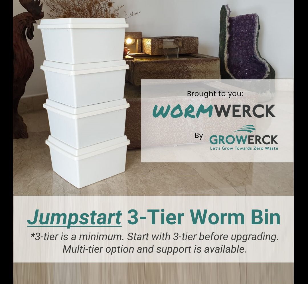 (HDB , Condo, Landed) Compost Worm Bin / Vermicompost Bin / Worm ...