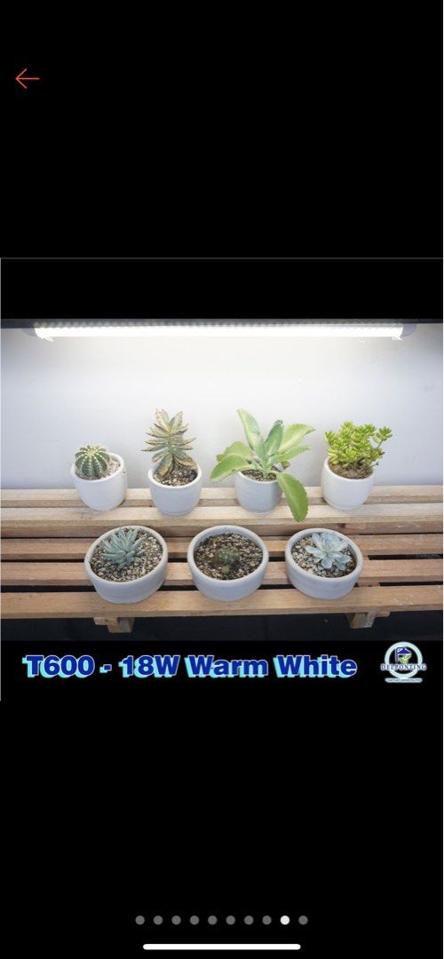 Delponting Grow Lights T600 18W (Category: Gardening Tools & Ornaments) located in Los Banos. Submitted by airese (Listing ID 1230223855, Image 3). Description: P470 each.