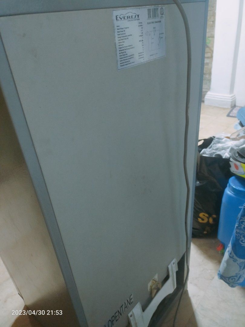 Everest Refrigerator Single Door Ref, TV & Home Appliances, Kitchen Appliances, Refrigerators