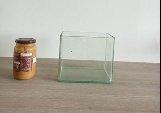 Fish Tank