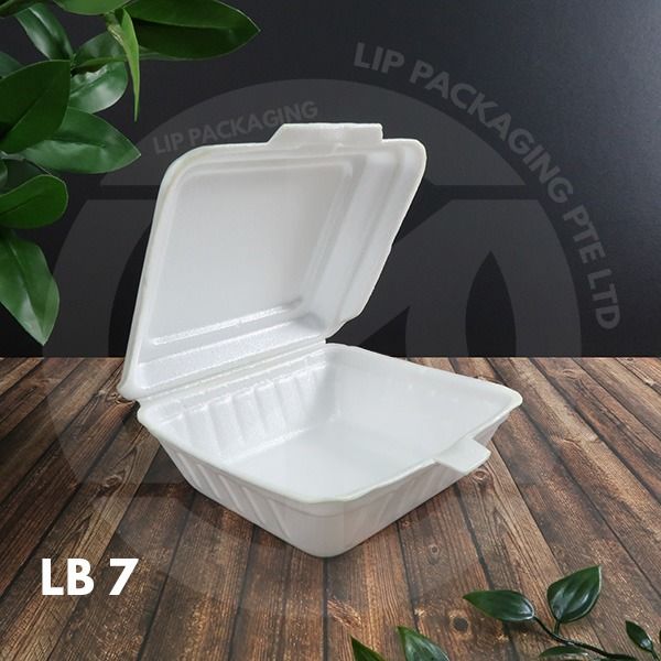 Foam Lunch Boxes / Styrofoam Food Box / Lunchbox, Furniture & Home