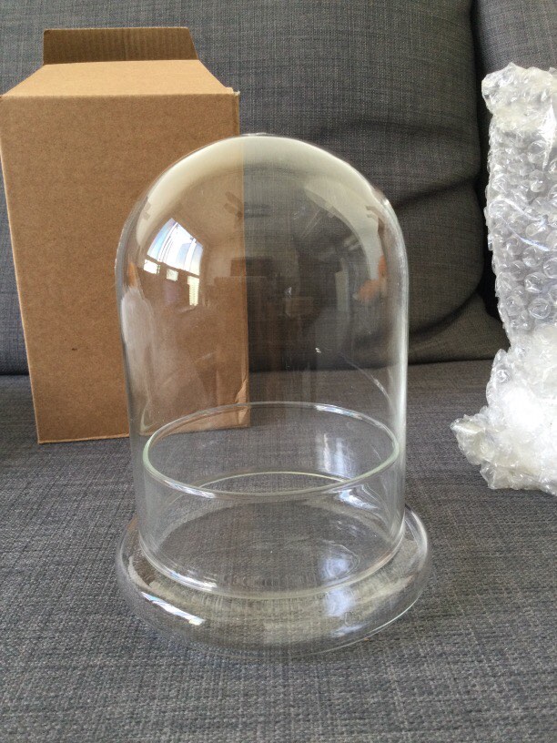 Glass dome & base, Furniture & Home Living, Home Improvement