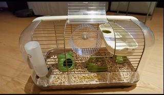 (Category: ) located in . Submitted by LOT1234567 (Listing ID 1230268281, Image 1). Description: .