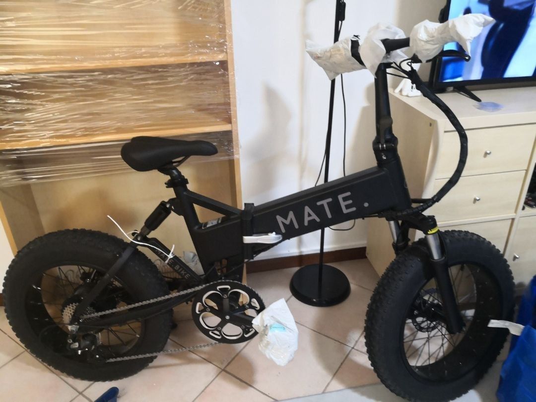 Mate electric hotsell bike price