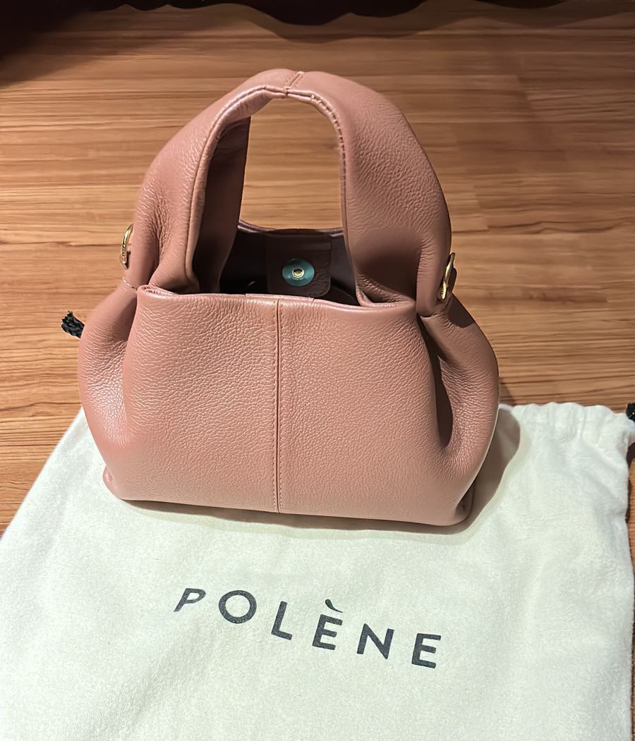 New Polene neuf mini on Carousell