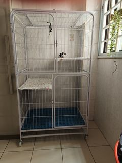 (Category: ) located in . Submitted by fuimee (Listing ID 1230205244, Image 1). Description: .
