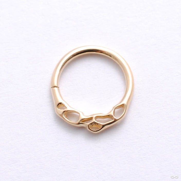 Pupil Hall Otherworldly 14k gold septum or daith jewelry brand