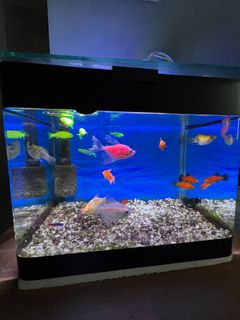 (Category: ) located in . Submitted by davyjonsonza (Listing ID 1230254227, Image 1). Description: .