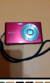 SONY 數位相機