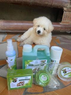 WOOF Pet Grooming and Bath Kits ( Shampoo, Soap, Powder, Conditioner, etc.)
