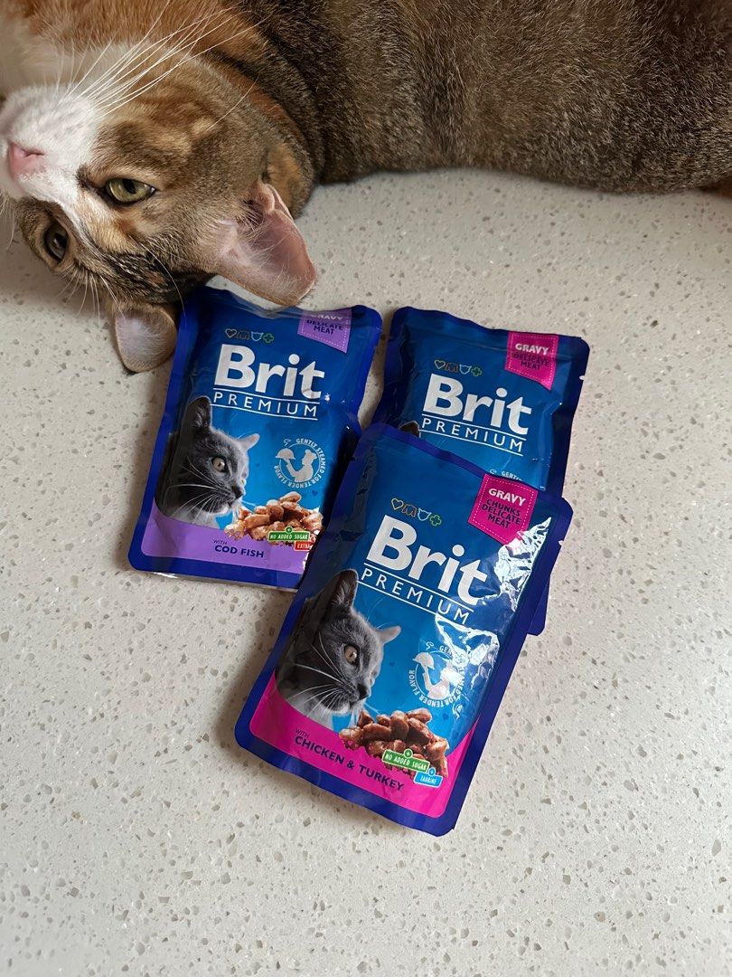 Brit pouch discount