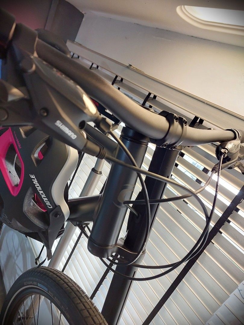 2021 Cannondale Bad boy 2 for sale