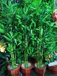 4 ft Bamboo Artificial PLant with Pot