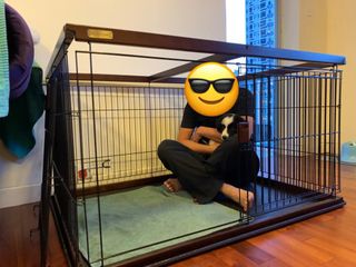 （分類：）位於 。 由 seanspear 提交（商品編號 1230491230，圖片 1）。簡介： 。