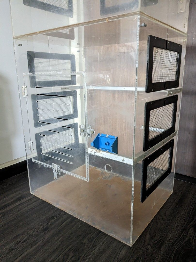 Acrylic hot sale chinchilla cage