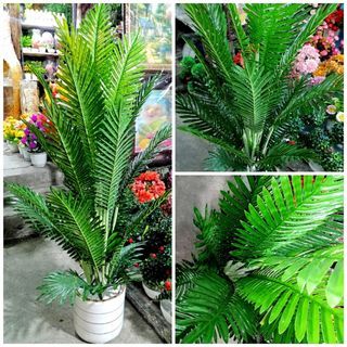 Artificial Palmera 4 ft with Vase