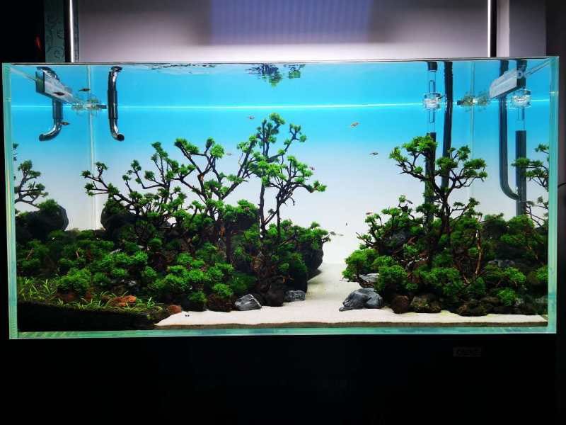 DET Light Screen for Aquarium Background // Fish tank light 60 x 45cm