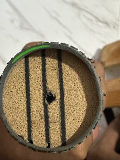 (Category: ) located in . Submitted by tradepro (Listing ID 1230461874, Image 1). Description: .