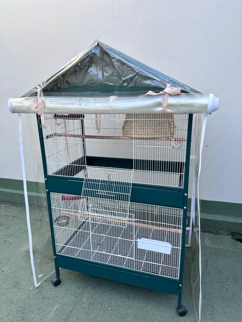 Extra Large Parrot Cage, Pet Supplies, Homes & Other Pet Accessories on Carousell