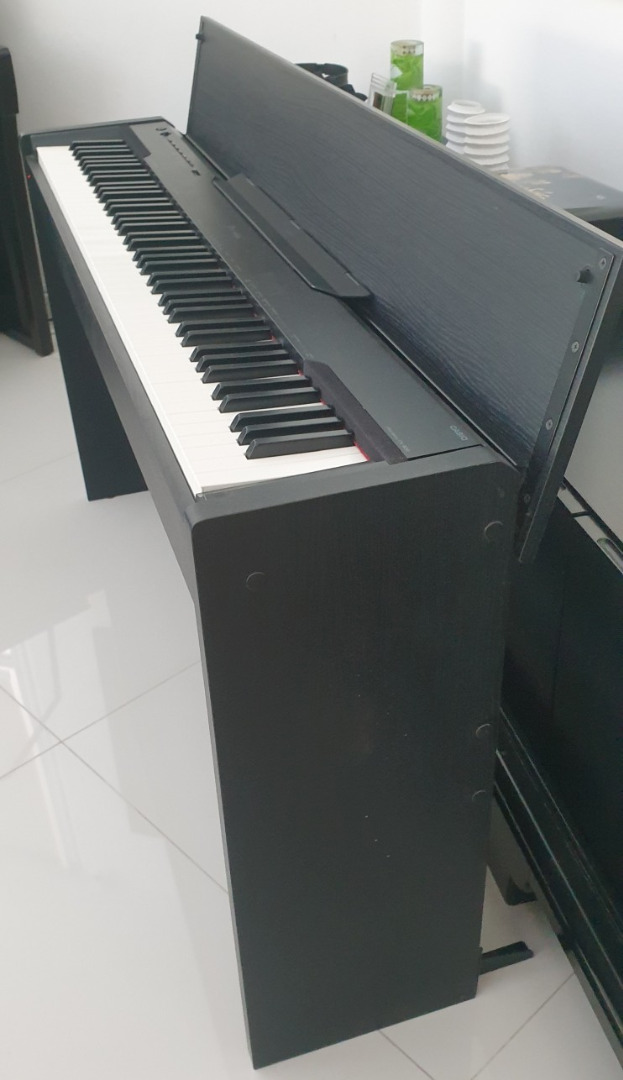 Px 830 casio sale