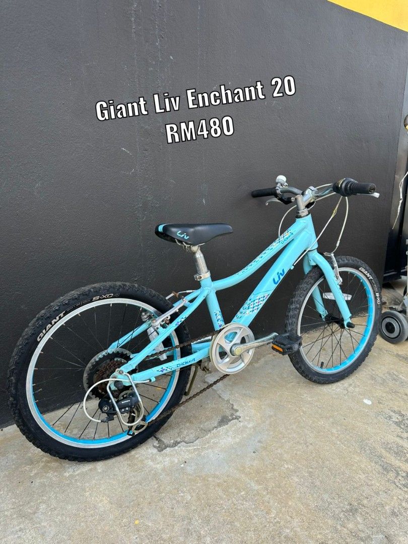 Giant enchant 20 lite online