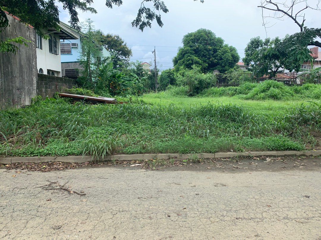 294 sqm Lot for sale Brookside Hills Cainta Rizal, Property, For Sale