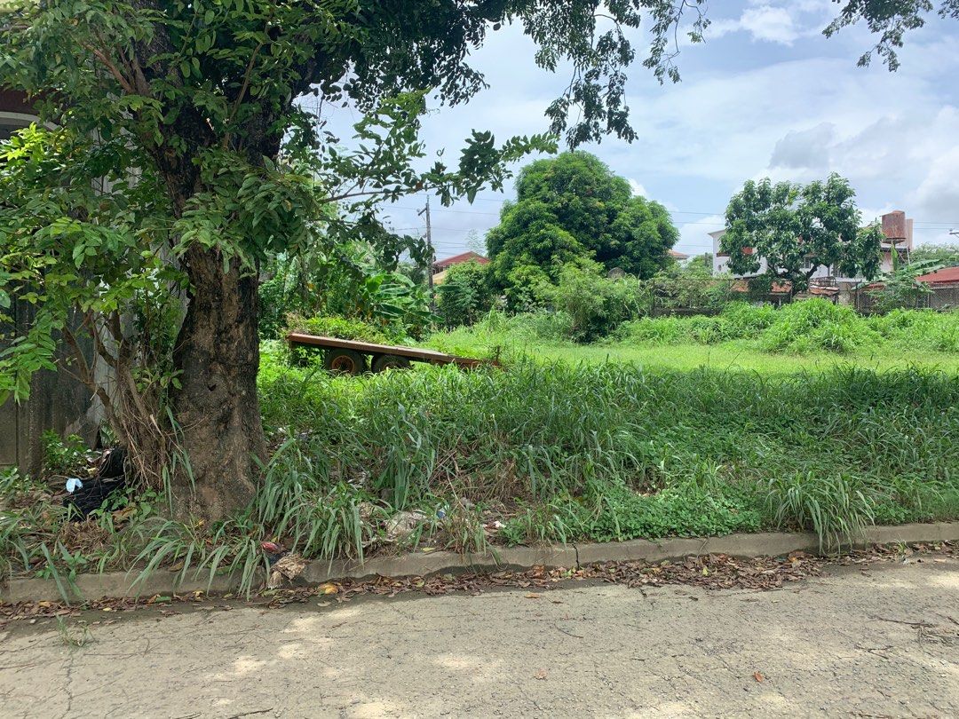 294 sqm Lot for sale Brookside Hills Cainta Rizal, Property, For Sale