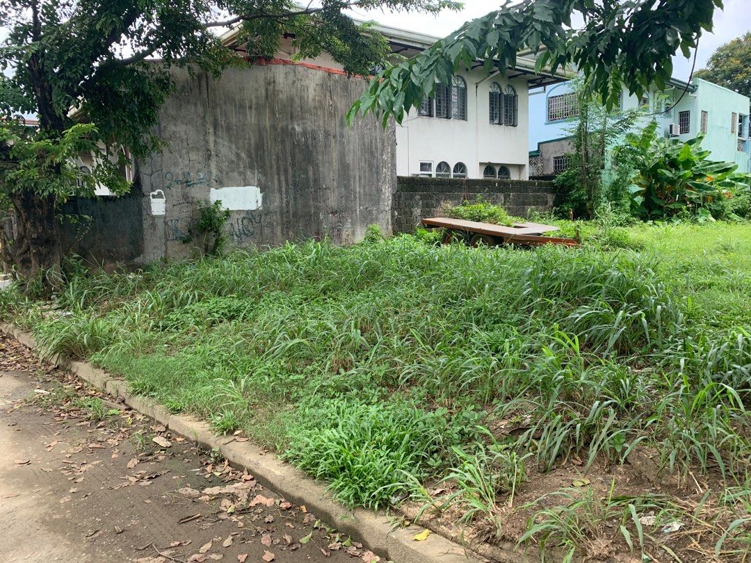 294 sqm Lot for sale Brookside Hills Cainta Rizal, Property, For Sale