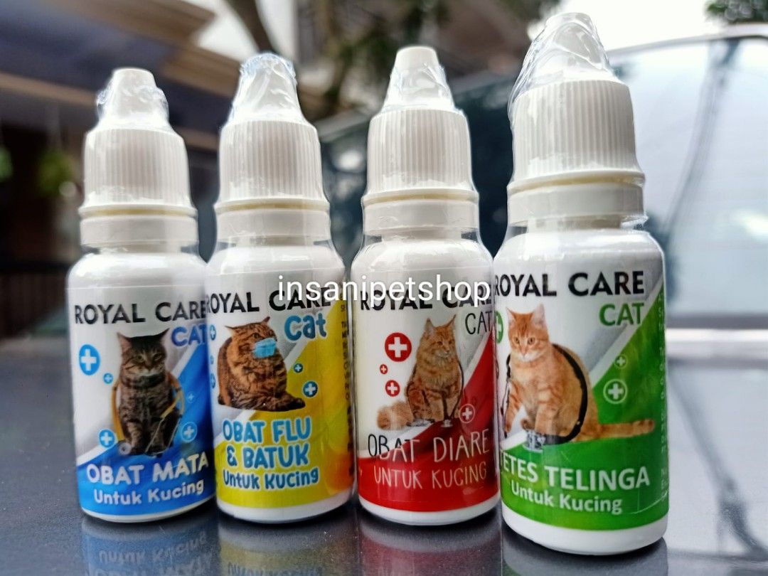 obat kucing