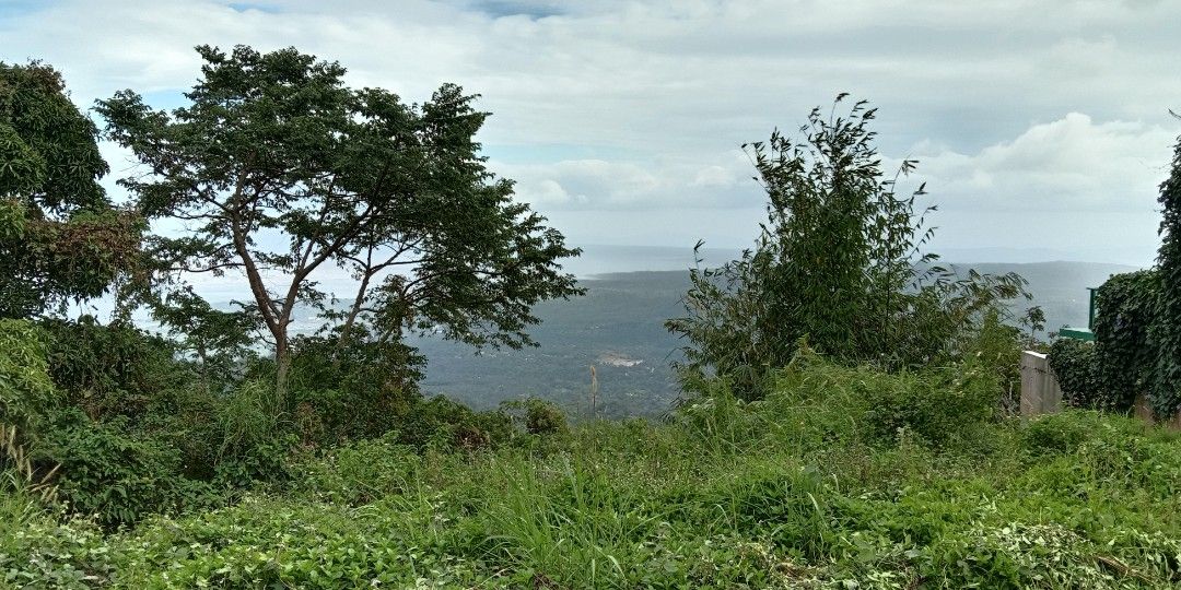 Overlooking lot in tagaytay (Category: Lot) located in Noveleta. Submitted by eboyiskobar (Listing ID 1230491246, Image 3). Description: Forsale!!!! For sale!!!!! overlooking lot in tagaytay with full view taal 1,800 sqmtrs with clean title updated tax besides antonios breakfast and lazuri hotel only for tripping schedule pls call or text this no.09758611619 and look for mr.eddie thank you Godbless po.