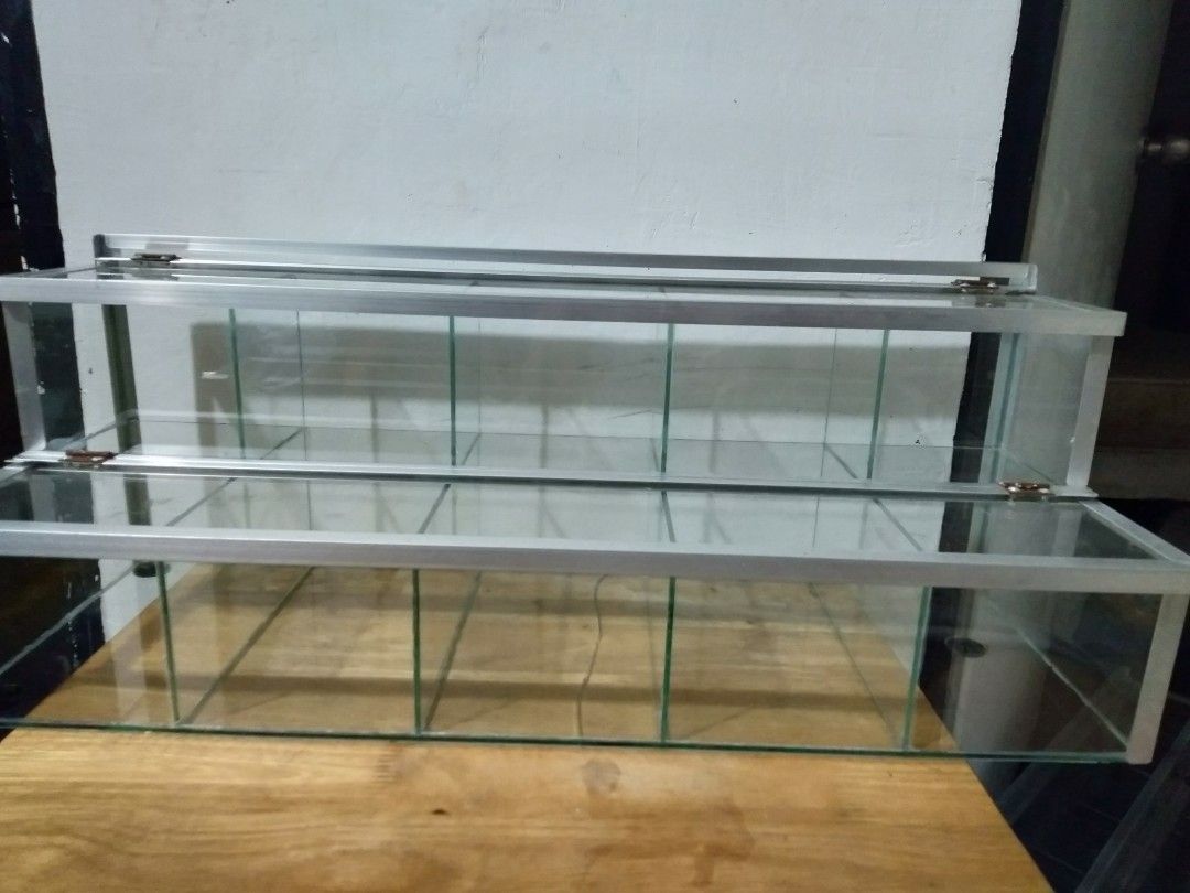 Sarisari Store Glass Display Case, Furniture & Home Living, Furniture, Shelves,