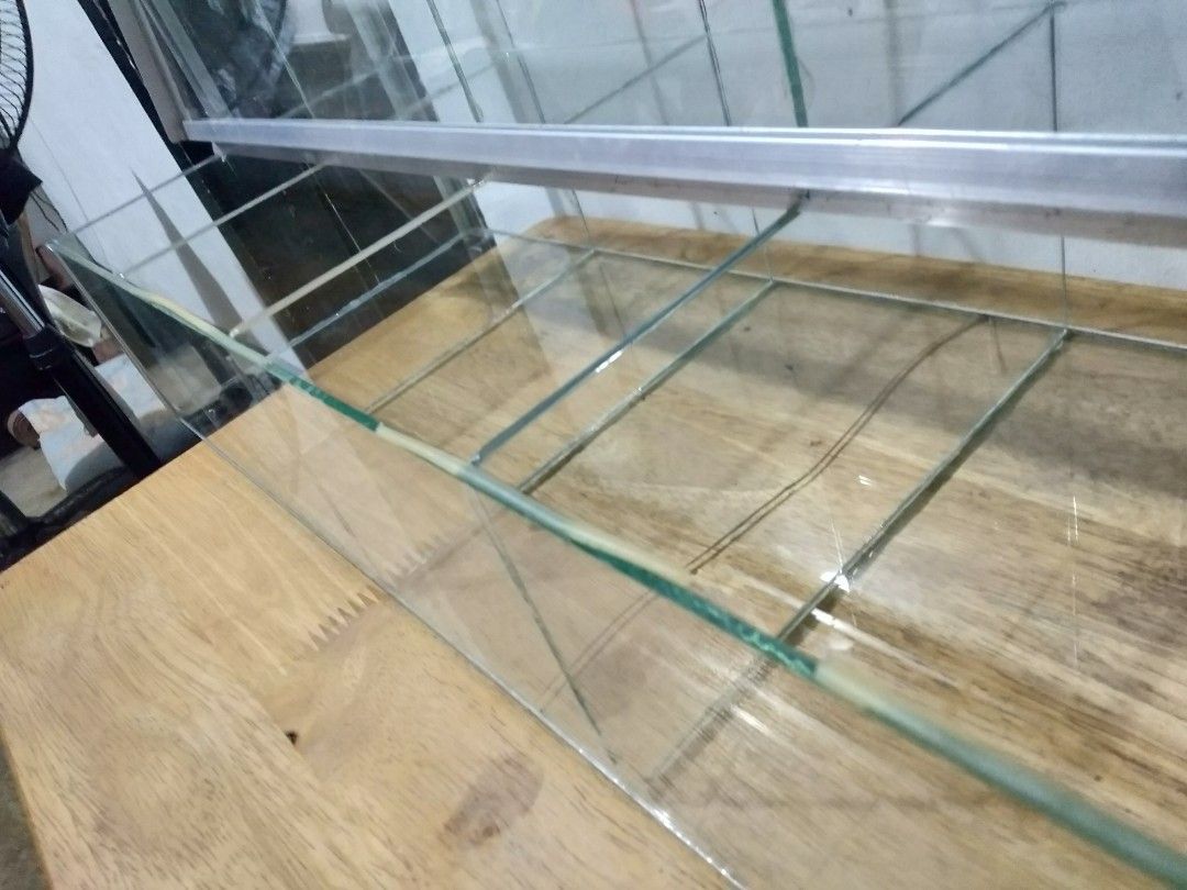 Sarisari Store Glass Display Case, Furniture & Home Living, Furniture, Shelves,