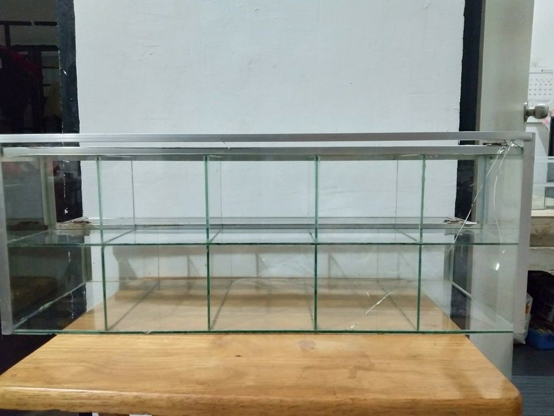 Sarisari Store Glass Display Case, Furniture & Home Living, Furniture, Shelves,