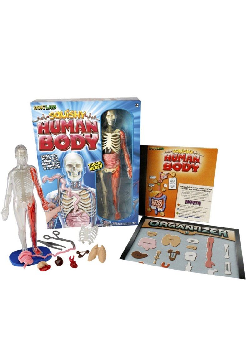 Squishy Human Body by Smart Lab Hobbies Toys Toys Games on