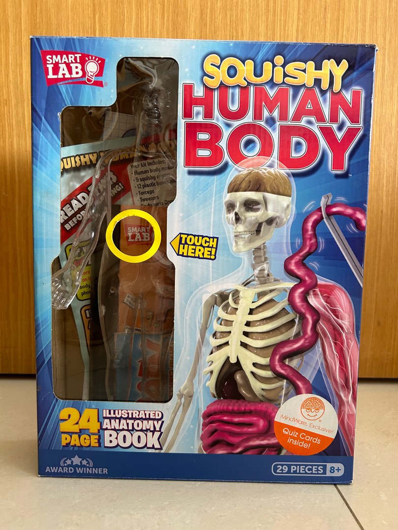 Smart lab squishy human online body