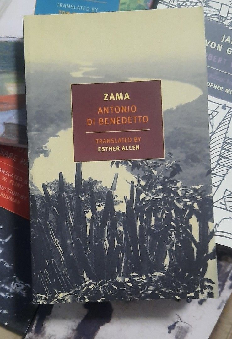 Zama, NYRB, Hobbies & Toys, Books & Magazines, Fiction & NonFiction on