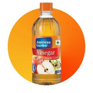 APPLE CIDER AMERICAN GARDEN 16OZ.