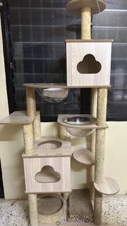 (Category: ) located in . Submitted by thereyounaa (Listing ID 1230662840, Image 1). Description: .