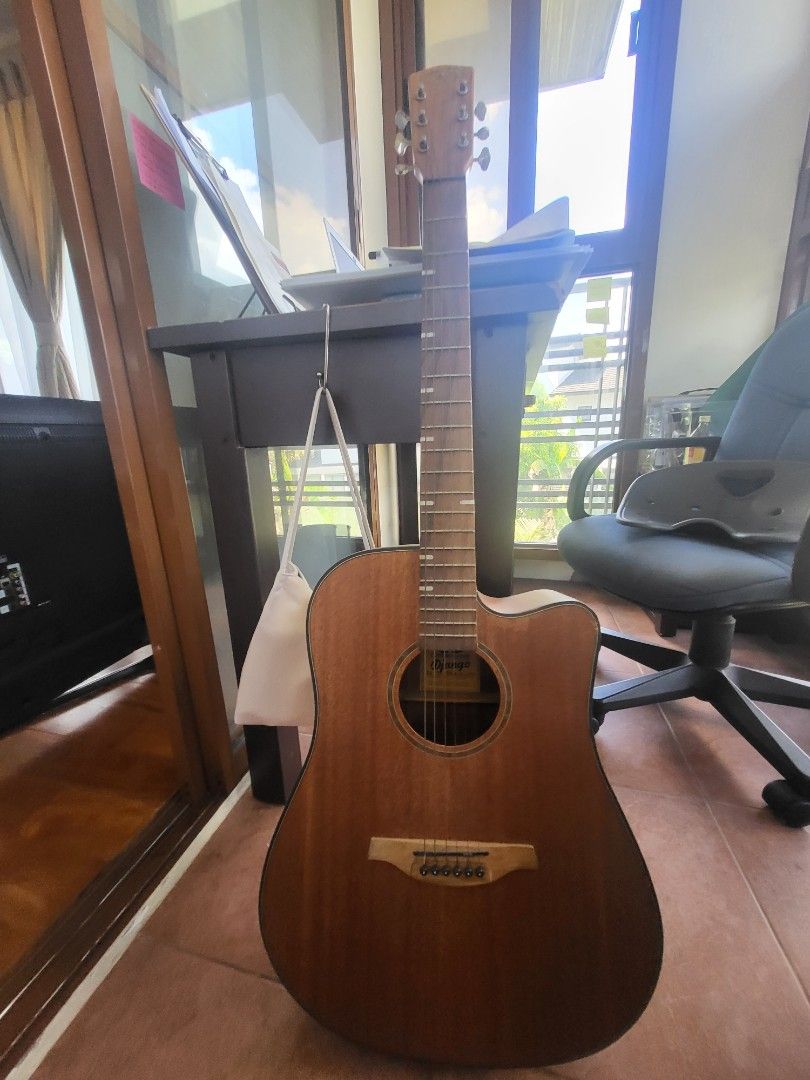 D&d guitars shop