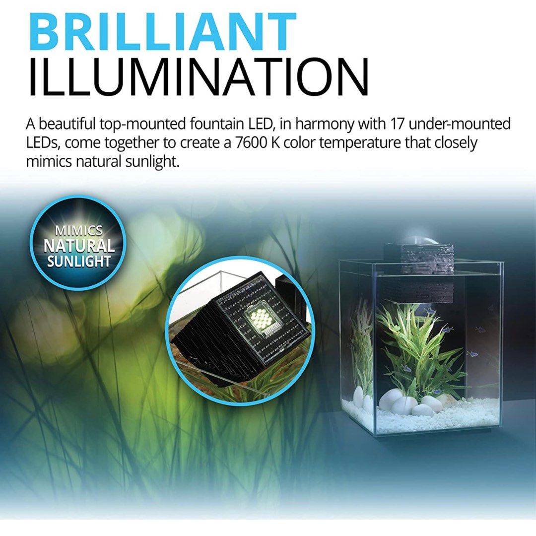 Fluval chi accessories outlet