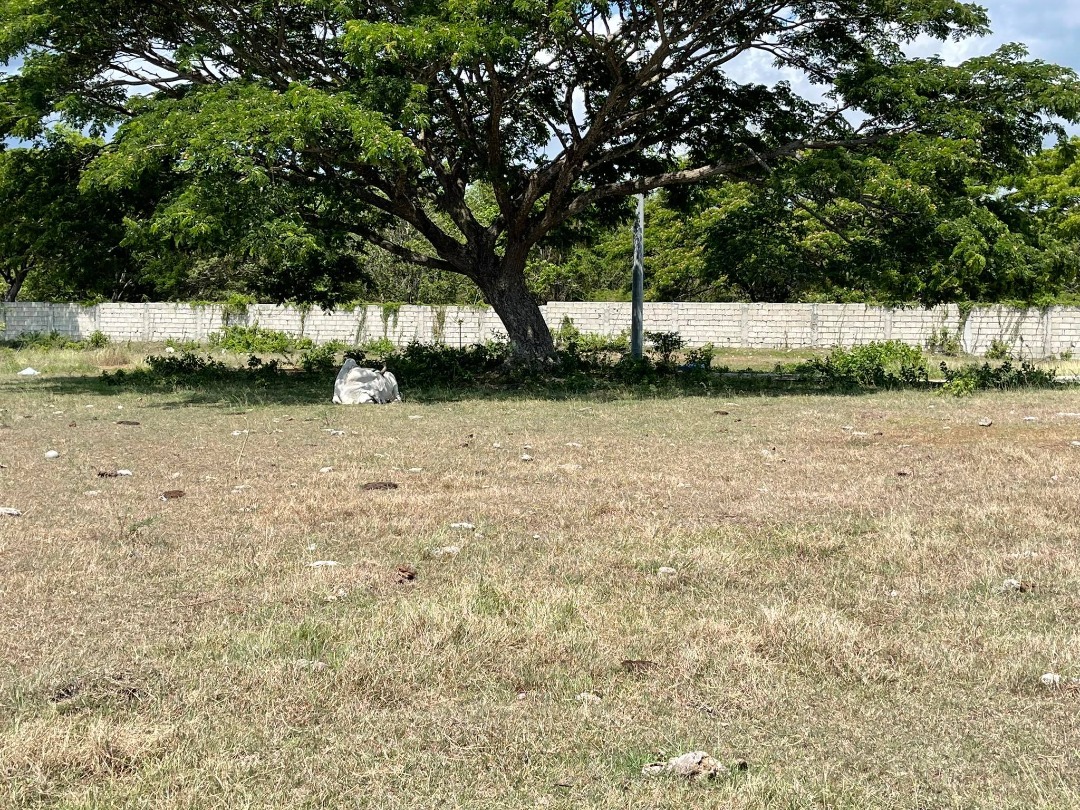 Natural Scenic Property For Sale