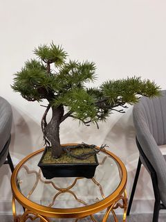 SSF Artificial Bonsai Plant