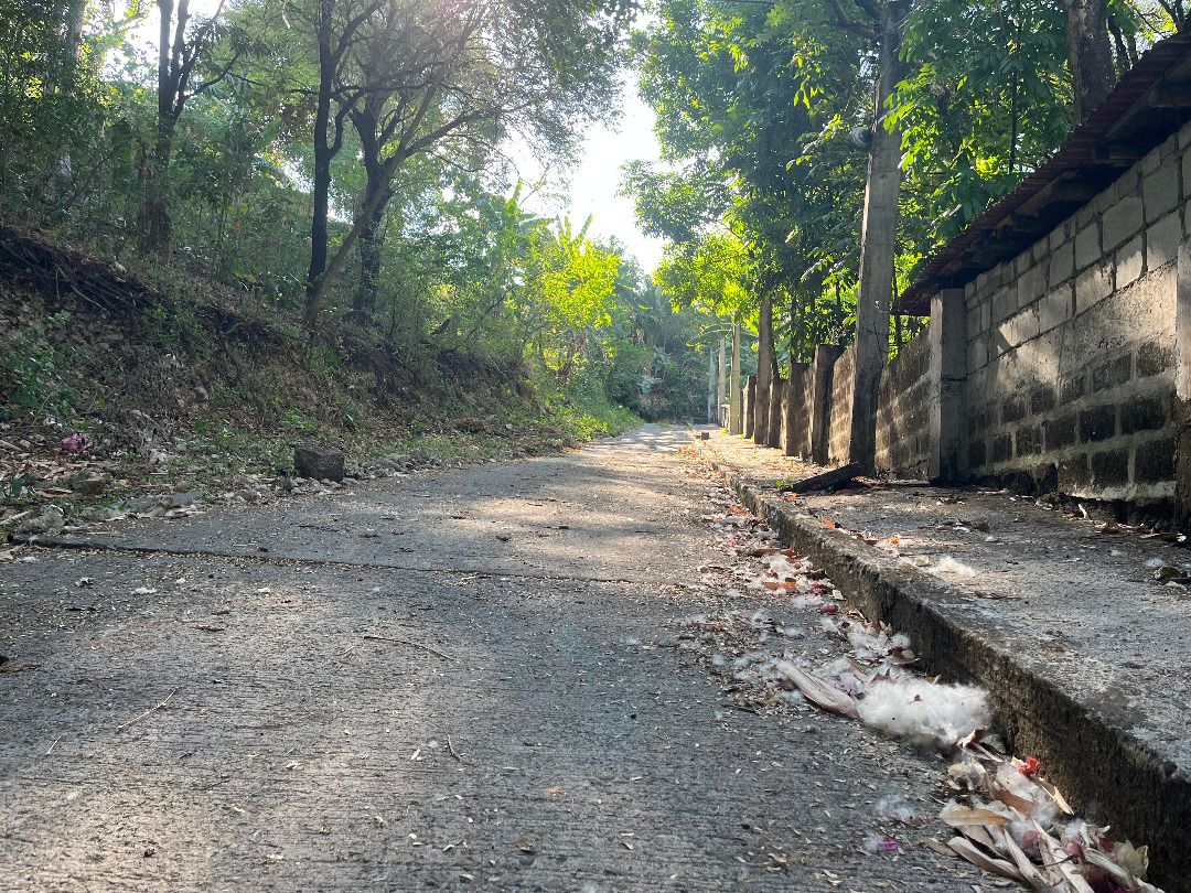 Antipolo Lot for Sale (Category: Lot) located in Taguig. Submitted by tanyapropertywise (Listing ID 1230833397, Image 3). Description: 1035 Lot for Sale is inside Benedicto Compound, Antipolo Rizal🏡 ✅Ideal as rest house or farm lot | With mango trees ✅Sloping up ✅With existing road ✅ Rush Sale ✅ Major cities and modern conveniences are easily accessible ✅Near El Dorado Subdivision, E. Rodriguez Ave., Brgy. San Jose, Antipolo City Antipolo City -