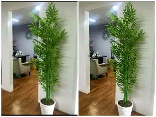 Bamboo 6ft Artificial Plant with pot